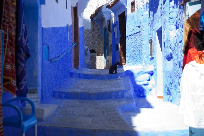 1-Night Morocco Private Tour: Chefchaouen From Casablanca - Overview of Chefchaouen