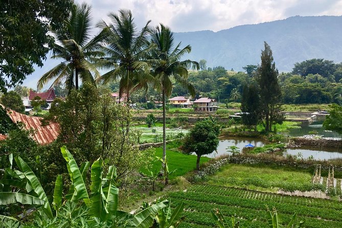 1 Week Private Round Trip North Sumatra - Itinerary Overview