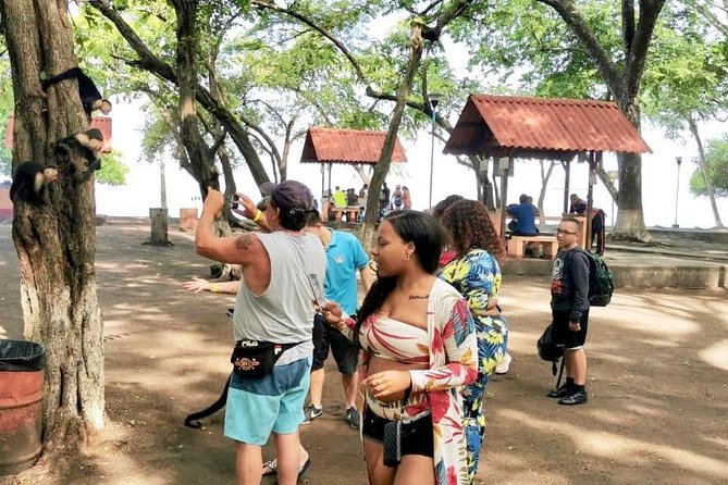 10 in 1 Puntarenas Highlights Tour - Tour Itinerary