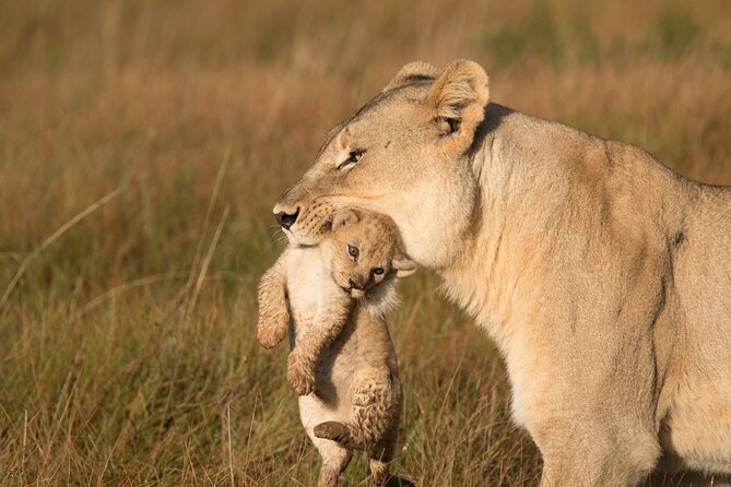 15-Day All Inclusive Sibuya Wilderness Guided Tour - Itinerary Highlights