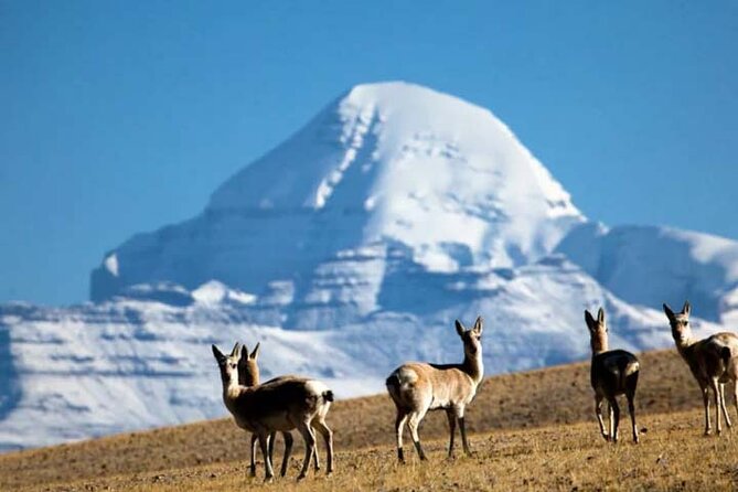 15 Days Lhasa to Kailash, Manasarova (trekking)Small Group Tour - Tour Itinerary Details
