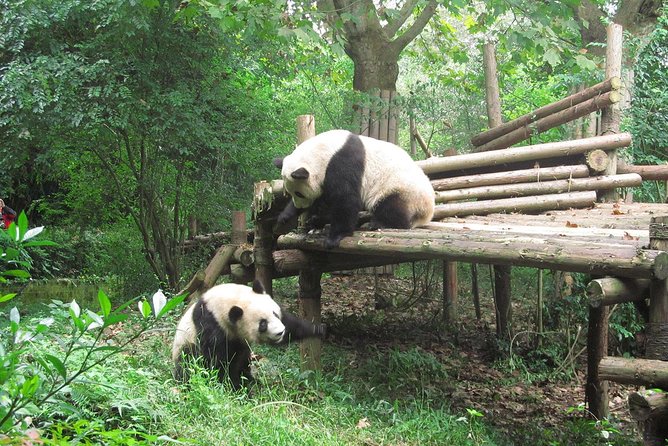 16-Day Private China Essence Tour With Yangtze River Cruise - Tour Itinerary Highlights