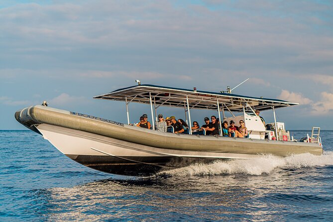 2.5 Hours Whale Watching On A 41 Super-Raft - Overview and Inclusions