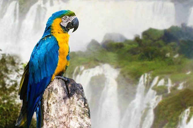 2 Day Argentinian and Brazilian Iguazu Falls - Tour Highlights