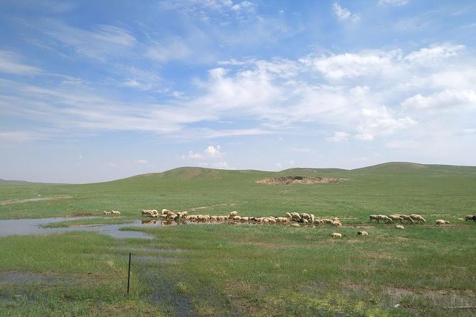 2-Day Inner Mongolia Desert and Grassland Optional Tours - Itinerary Details