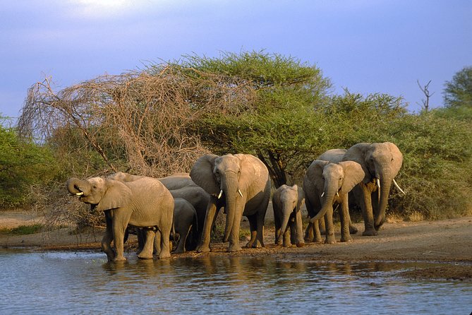 2-Day Kruger National Park Safari With Private Transfers - Itinerary Highlights