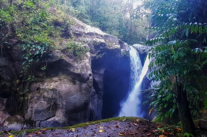 2 Day Minca Tour With Bird Watching - Tour Overview