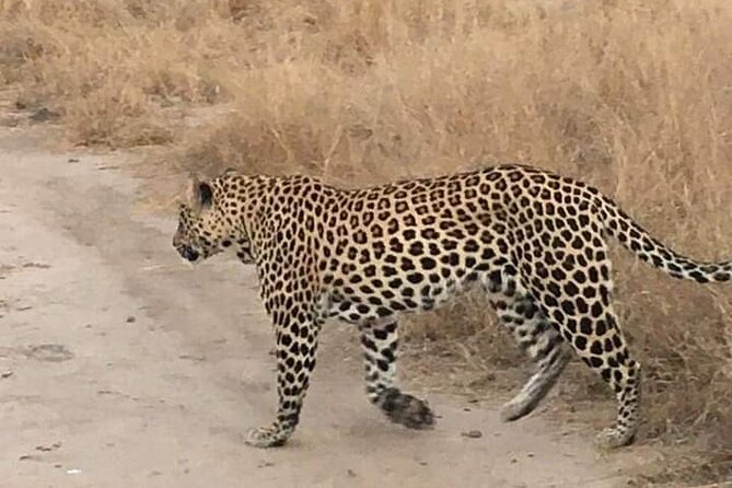 2 Day Pilanesberg Safari in 3 Star Lodge - Accommodation and Package Inclusions