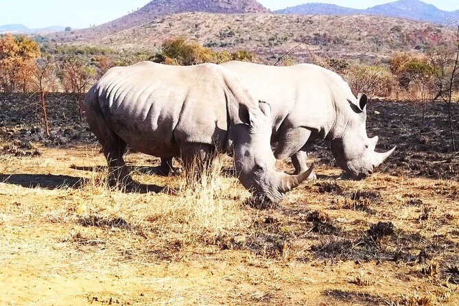 2 Day Private Pilanesberg Guided Tour - Cancellation Policy