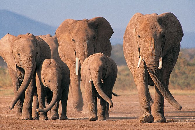 2 Day Safari Isimangaliso Wetland Park & Hluhluwe Imfolozi From Durban - Tour Overview