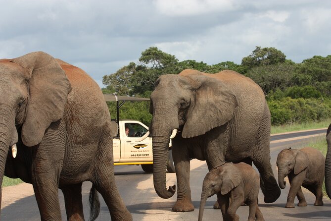 2-Day Safari Tour in Kruger National Park - Tour Details