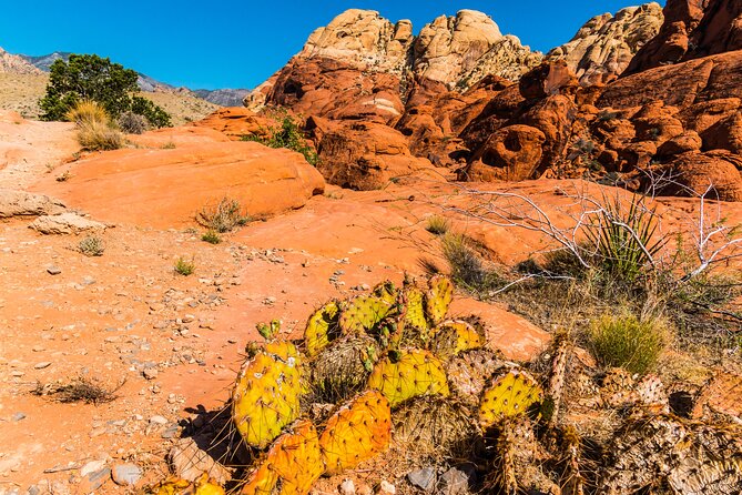 2-Day Self-Guided Las Vegas Day Trips: Hoover Dam Red Rock - Tour Itinerary Overview