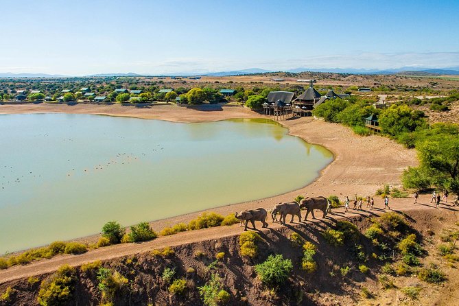 2 Day South African Wildlife of the Western Cape and 4x4 Safari - Inclusions and Services Provided