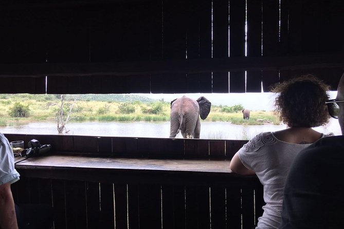 2 Day Tented Safari in the Pilanesberg - Safari Overview