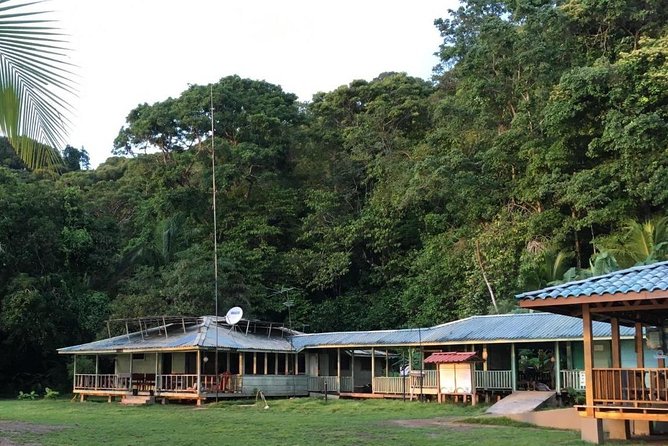 2-Day Tour in Corcovado, Sirena and San Pedrillo Stations - Inclusions and Services Provided