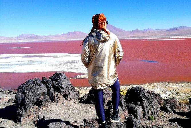 2-Day Uyuni Salt Flats - Including Laguna Colorada by Flight From La Paz - Day 1 Itinerary Highlights