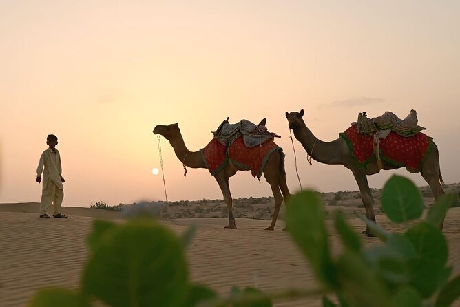 2 Days 2 Night Camel Safari - Experience Details