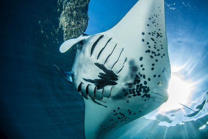 2 Days Discover Scuba Diving in Nusa Lembongan - Scuba Initiation - Scuba Diving Experience Highlights