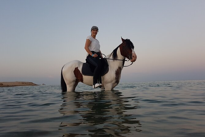 2 H Horse Riding And 2 H Relaxation Turkish Bath From Hurghada - Tour Highlights