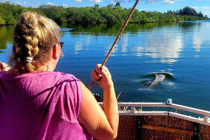 2 Hour Dolphin Sightseeing Tour in Melbourne Florida - Tour Details