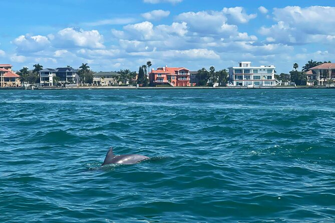 2-Hour Dolphin Watching Tour in Florida - Accessibility and Participation