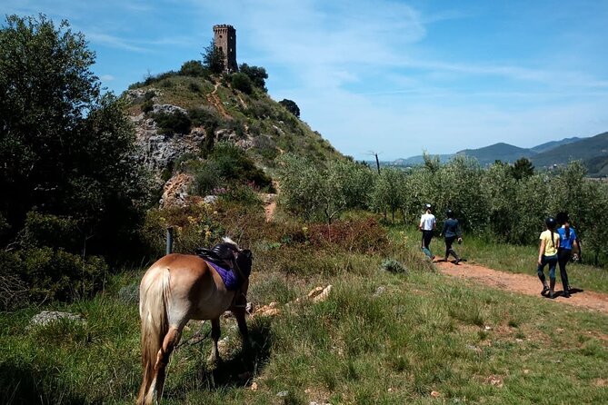 2 Hour Horseback Ride for Experts in Valgraziosa (Pisa) - Booking Confirmation