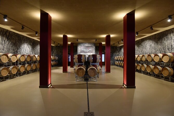 2-Hour Private Guided Tour With Tasting of Bolgheri DOCs - Tasting Experience