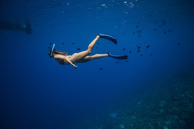2 Hour Private Snorkeling Experience to Molokini From Kihei - Experience Details