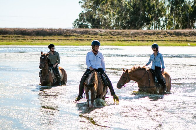 2 Hour Vineyard Trail Ride - Pricing and Value