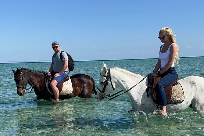 2 Hours Horse Riding or Camel Riding at Hurghada - Experience Details