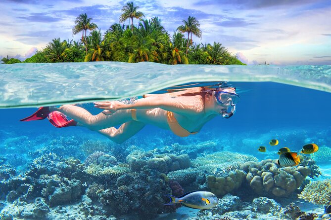 2 Hours Sip and Snorkeling Experience in Bahamas - Tour Highlights