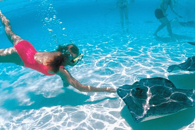 2-Stop Adventure: Stingray City and Snorkeling at Cayman Reefs - Overview of Stingray City Excursion