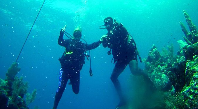 2 Tank Roatan Fun Dive, Boat Sightseeing Tour, Including Ground Transportation - Tour Overview