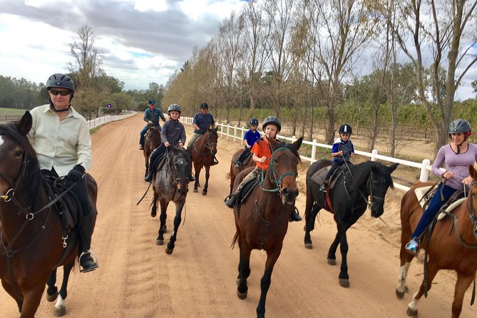 2h – Horse Trail - Pricing and Booking