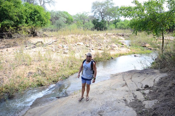 3 Day Budget Tent Kruger National Park Safari - Overview and Itinerary