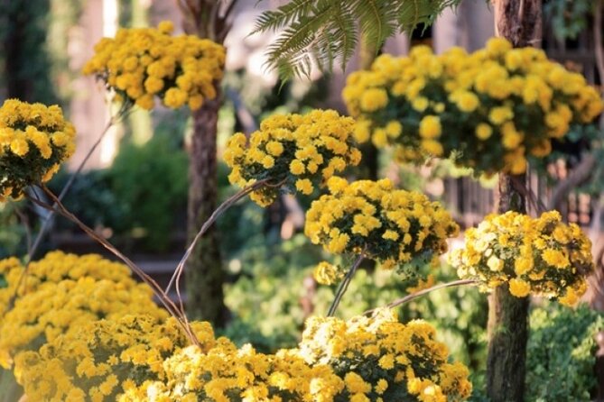 3-Day Busch Gardens Christmas Carnival Tour From New York & New Jersey - Meeting and Pickup