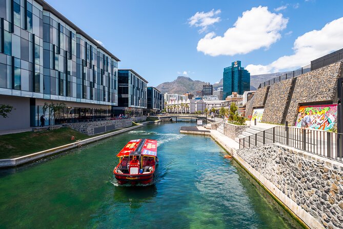 3 Day Cape Town Holiday South Africa - Day 2: Discovering Cape Towns Natural Beauty