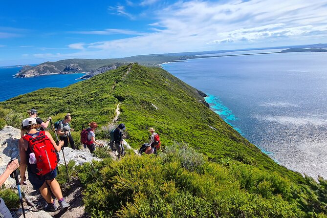 3-Day Coastal Natural Wonders and Hiking Tour in Albany - Tour Highlights