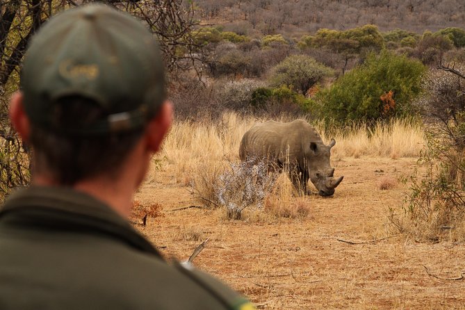 3 Day Garden Route Highlights and Safari With Private Transfers - Common Questions