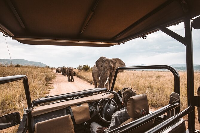 3 Day Garden Route Tour - Tour Overview and Highlights