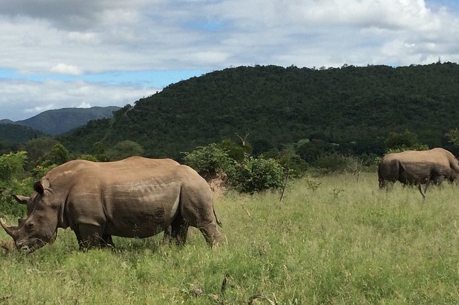 3-Day Kruger National Park Private Safari From Johannesburg - Safari Highlights