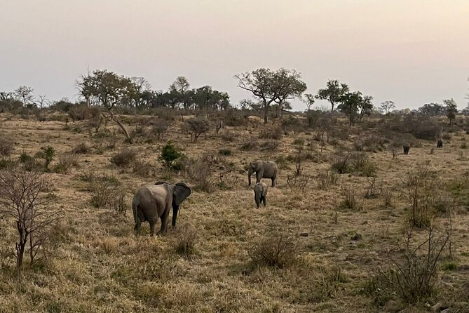 3-Day Kruger National Park Safari From Johannesburg - Safari Itinerary