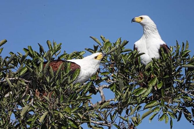 3 Day Kruger National Park Safari & Panorama Route - Accommodation and Refund Policy