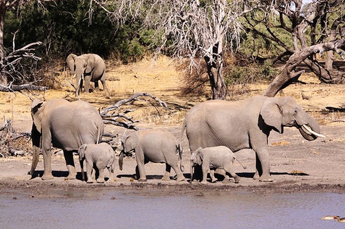 3-Day Mapungubwe National Park and Heritage Small-Group Safari - Tour Inclusions