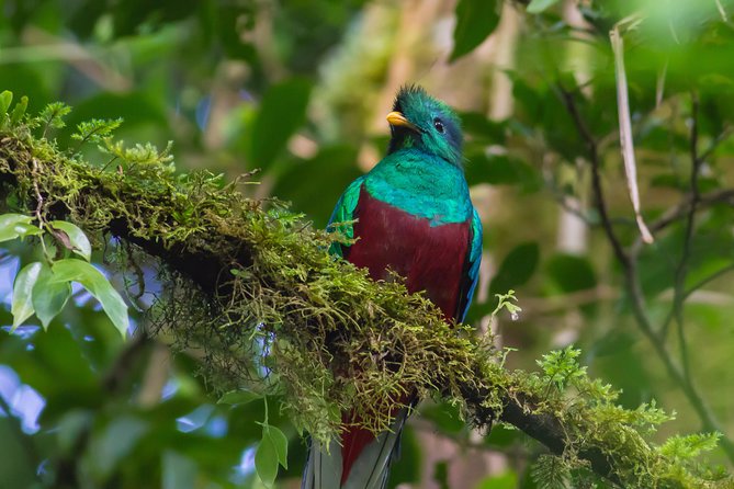 3-Day Tour of Cobán and Semuc Champey From Antigua - Tour Itinerary