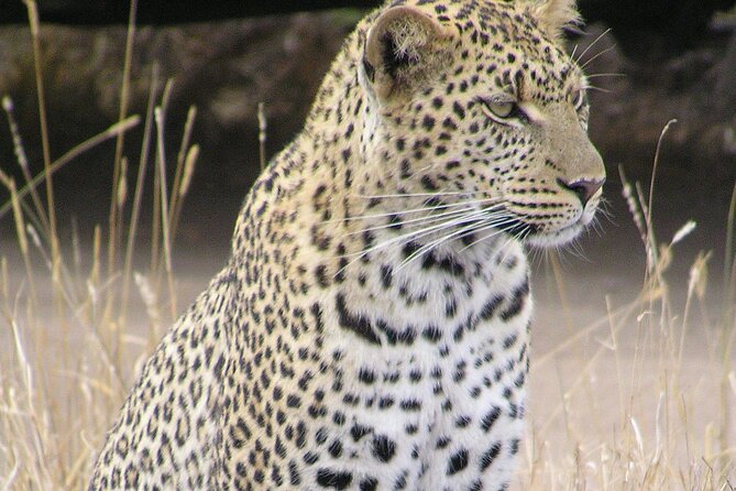 3 Days Kruger National Park - Accommodation Details