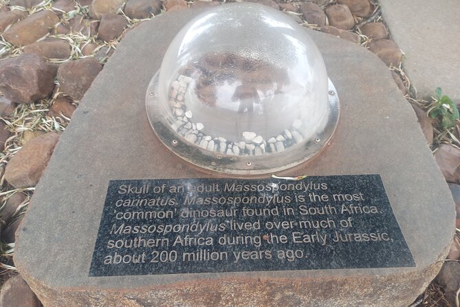 3-Days Tour in Johannesburg and Pilanesberg - Day 2: Safari Adventure in Pilanesberg