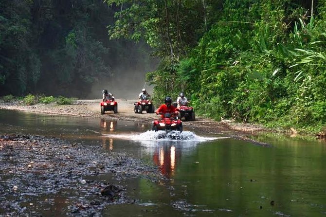 3-Hour ATV Jungle Waterfall Adventure - Tour Overview and Highlights
