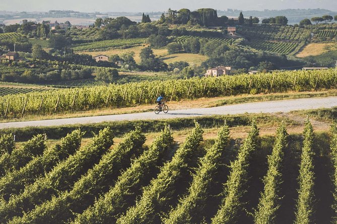 3-Hour Bike Tour and Wine in Tuscany: Nobiles Path - Booking and Confirmation