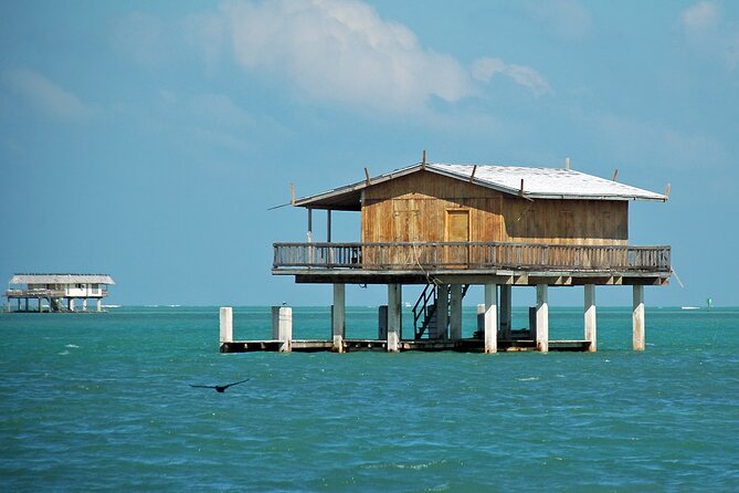 3 Hour Stiltsville Tour and Biscayne Bay Cruise - Tour Highlights